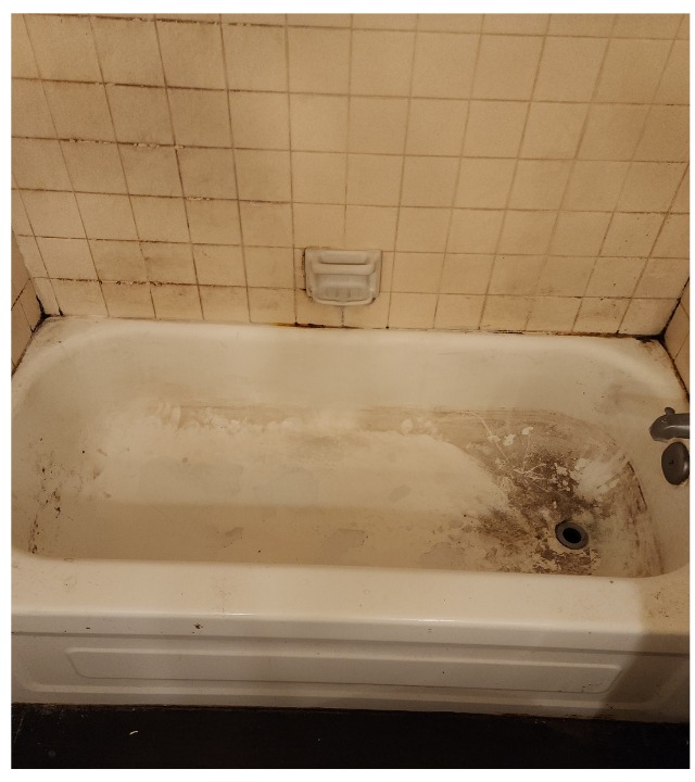 Bathtub Restoration — before